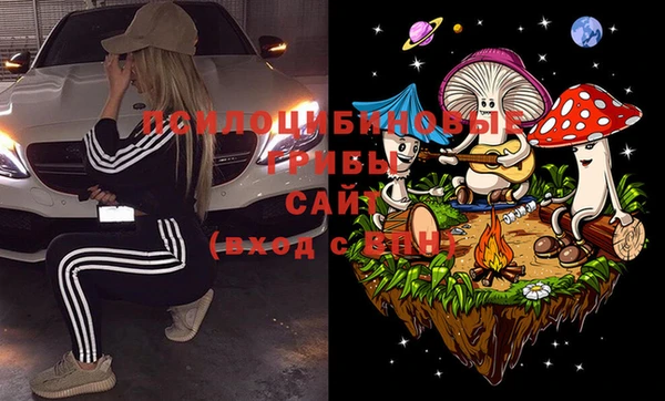 2c-b Сясьстрой