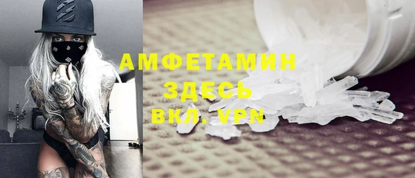 гидра Тайга