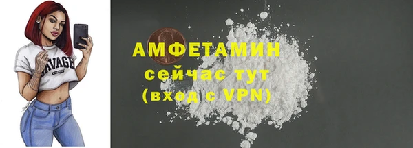 гидра Тайга