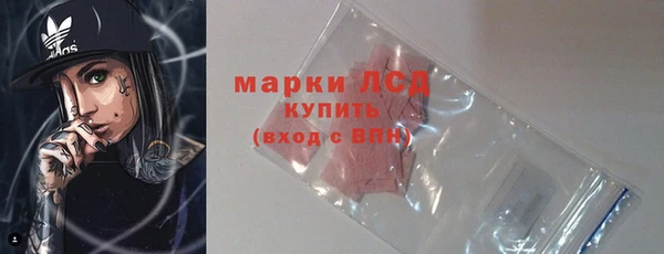 гидра Тайга