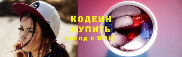 гидра Тайга