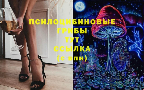 гидра Тайга