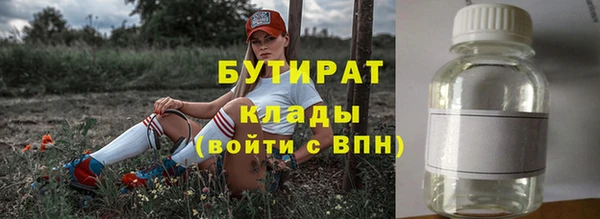 гидра Тайга