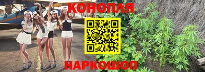 гашик Балаково