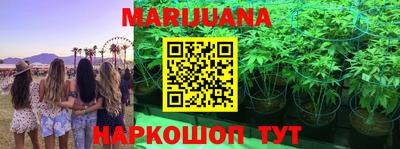 бошки Абакан