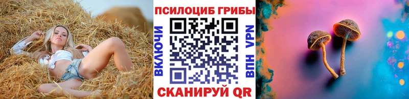 Псилоцибиновые грибы прущие грибы  как найти закладки  Балабаново 