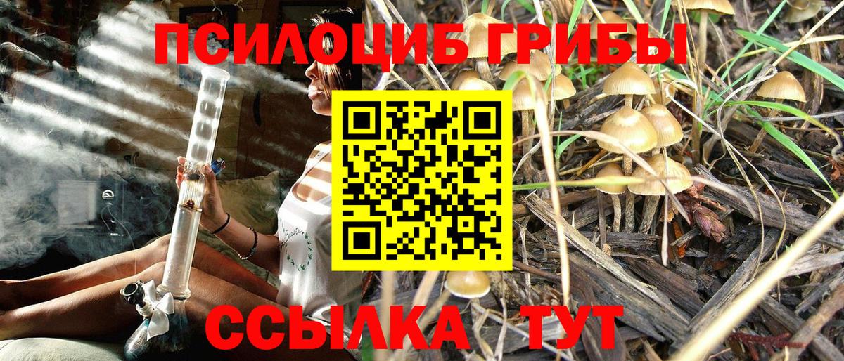 Галлюциногенные грибы MAGIC MUSHROOMS  Вход с VPN  Балабаново 